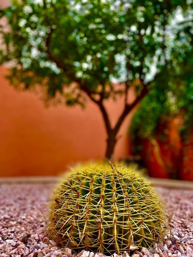 Villa Kalthoum Marrakesh Exteriör bild